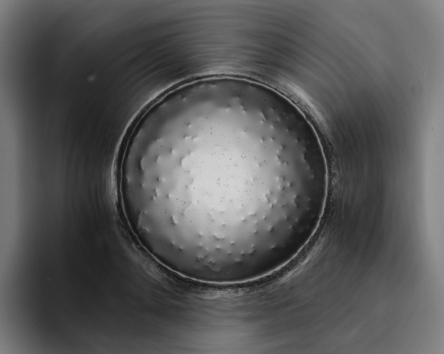 X0000094360892200711162048