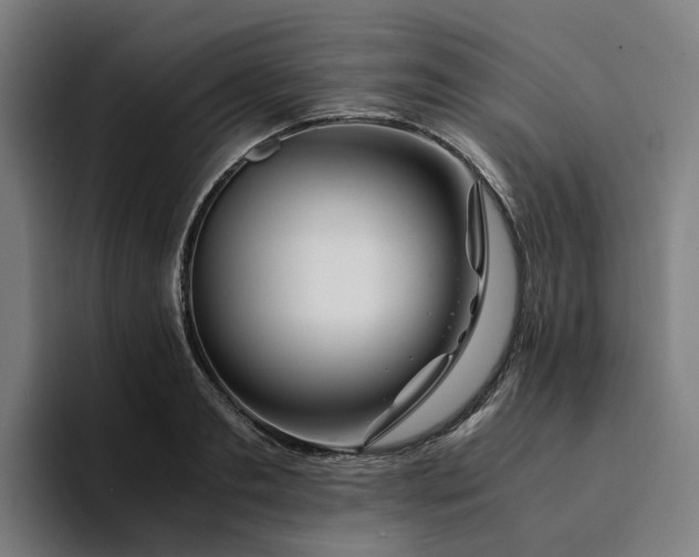 X0000094360893200711162048