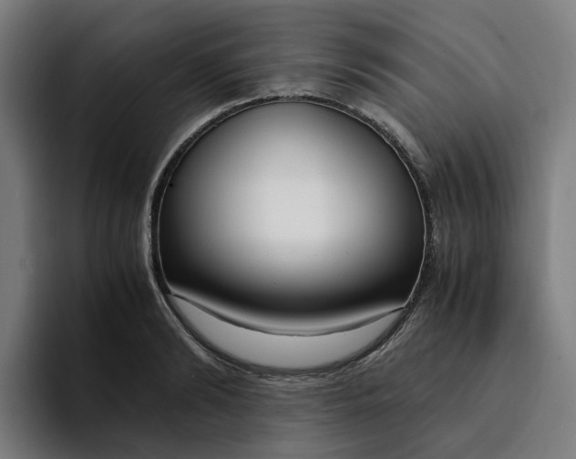 X0000094360894200711162048