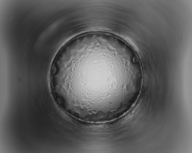 X0000094360895200711162048