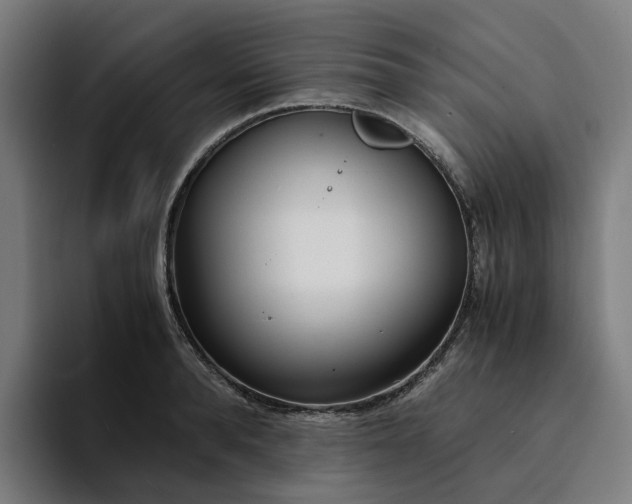 X0000094360896200711162048