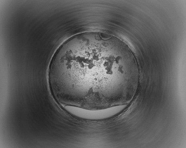 X0000094360899200711162048