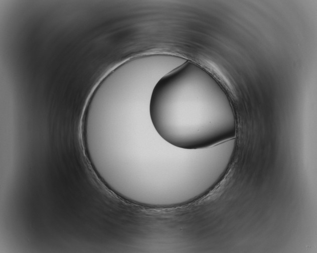 X0000094360900200711162048