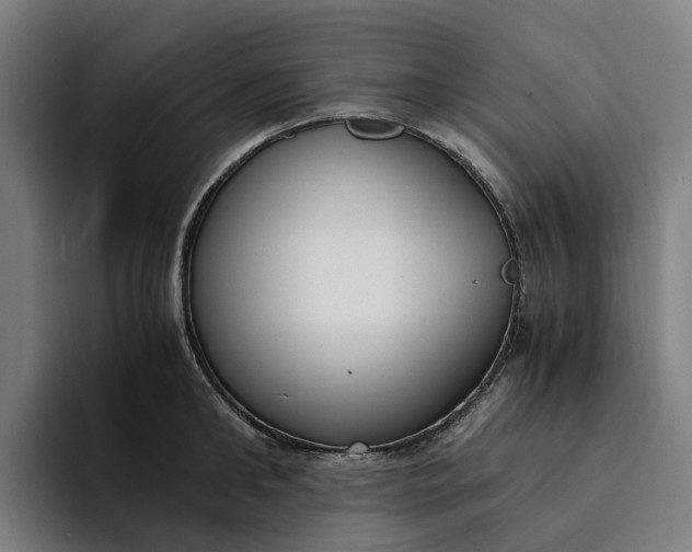 X0000094360902200711162048