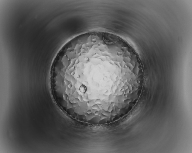 X0000094360903200711162048