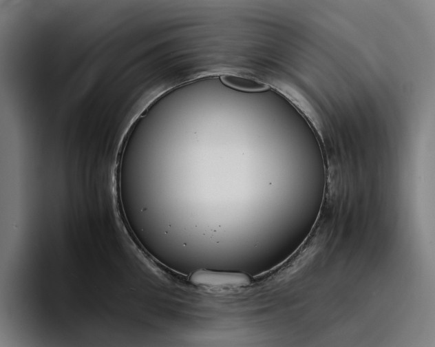 X0000094360906200711162048