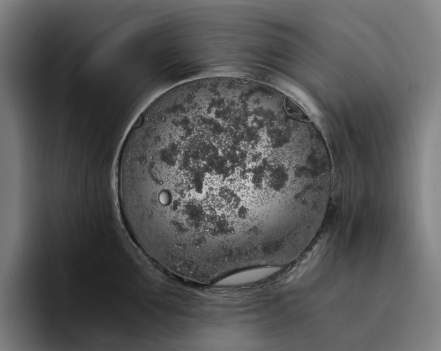 X0000094360907200711162048