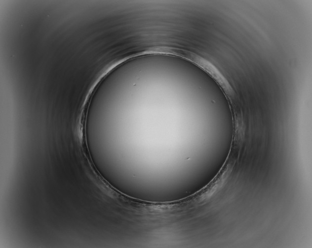 X0000094360908200711162048