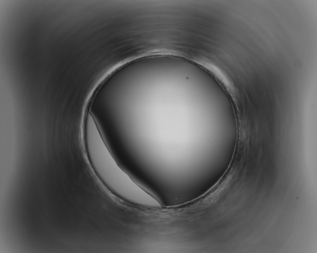 X0000094360910200711162048