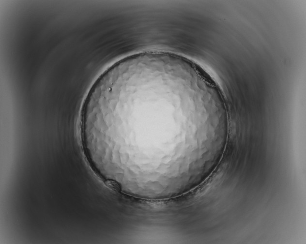 X0000094360911200711162048