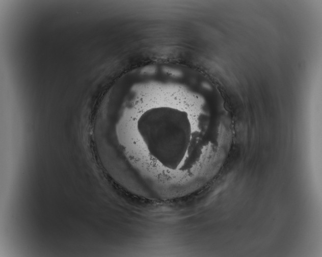 X0000094360913200711162047