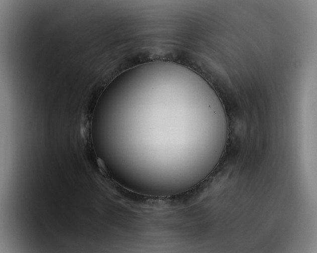 X0000094360914200711162047