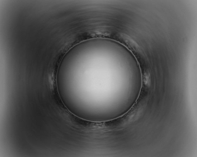 X0000094360915200711162047