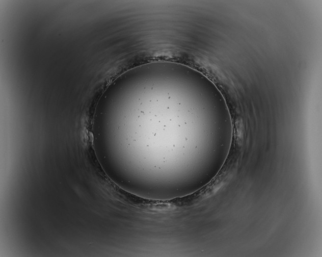 X0000094360916200711162047