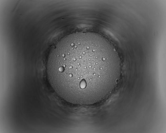 X0000094360917200711162047