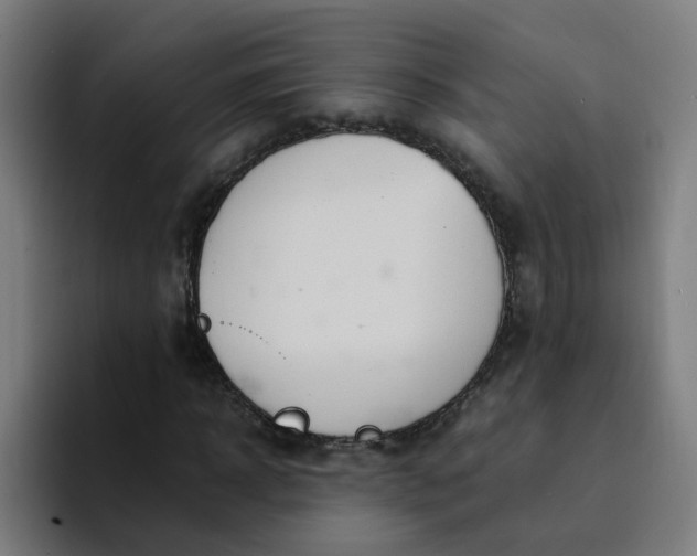 X0000094360918200711162047