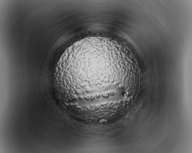 X0000094360919200711162047