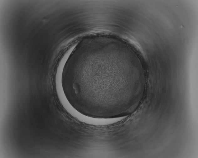 X0000094360920200711162047