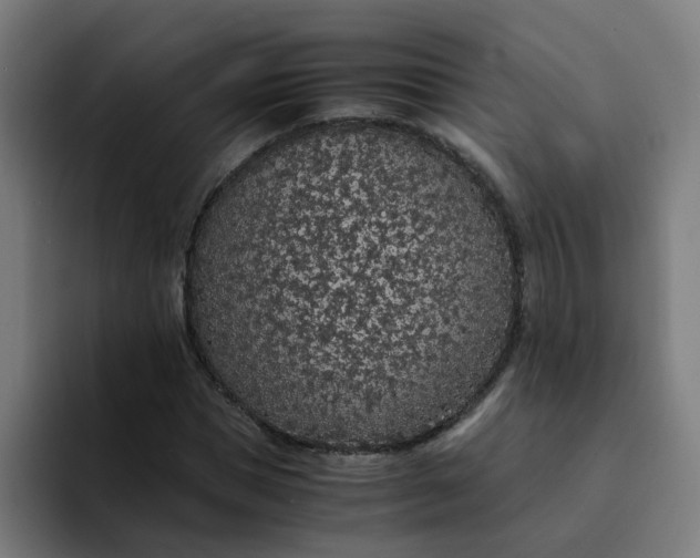 X0000094360921200711162047