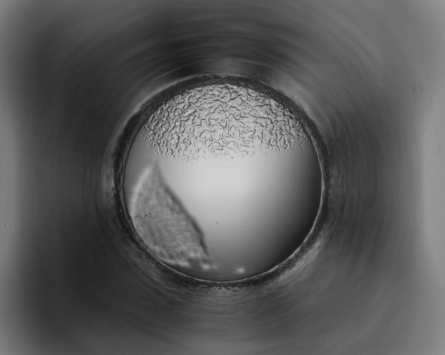 X0000094360923200711162047