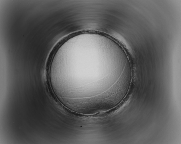 X0000094360924200711162047