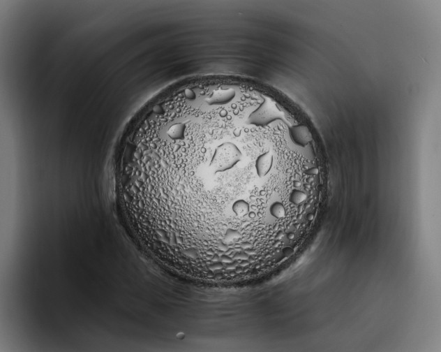 X0000094360925200711162047