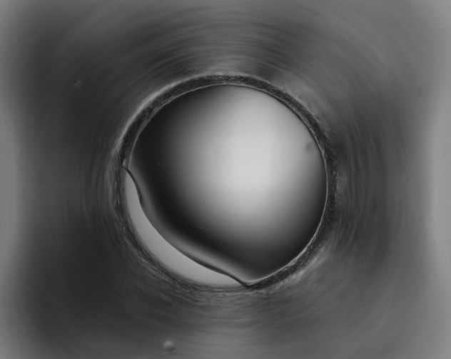 X0000094360926200711162047