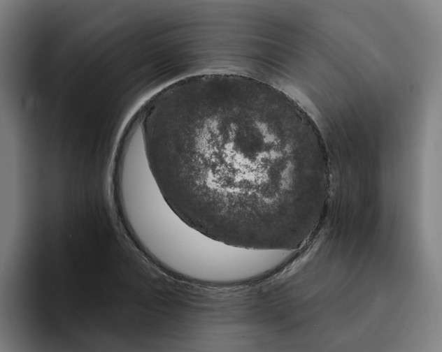 X0000094360928200711162047