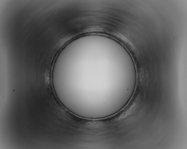 X0000094360929200711162047