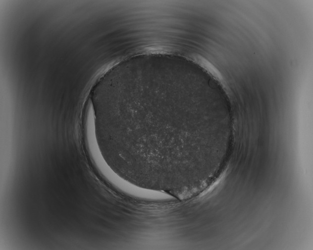 X0000094360930200711162047