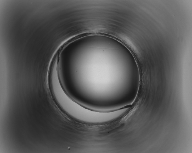 X0000094360932200711162047