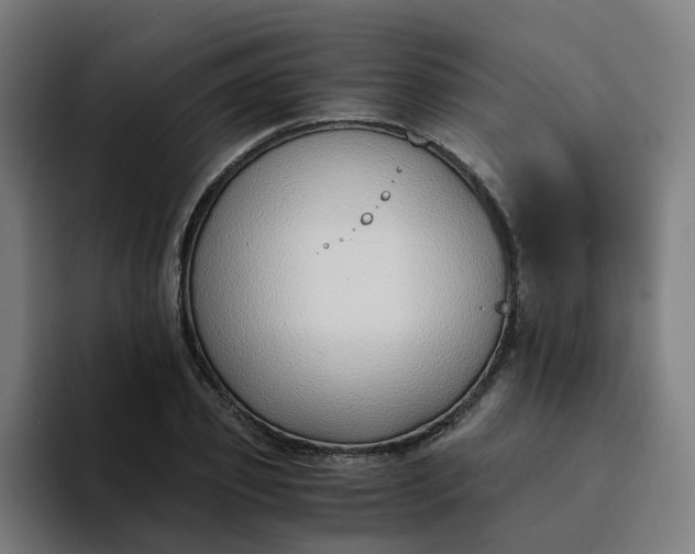 X0000094360933200711162047