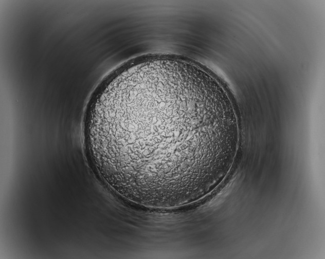 X0000094360935200711162047