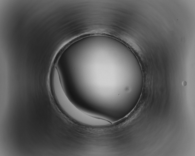 X0000094360936200711162047