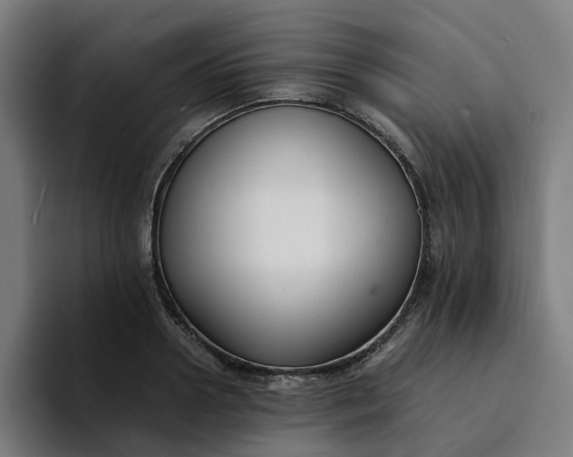 X0000094360938200711162047