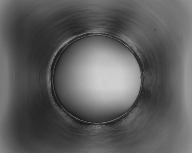 X0000094360939200711162047