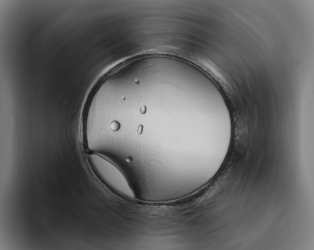 X0000094360940200711162047