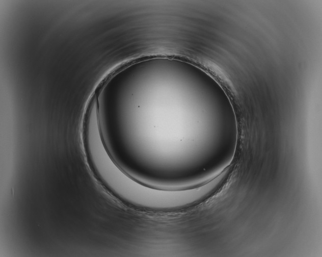 X0000094360942200711162047