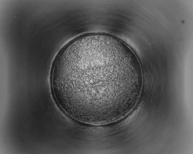 X0000094360943200711162047