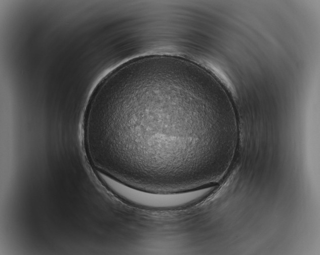 X0000094360944200711162047