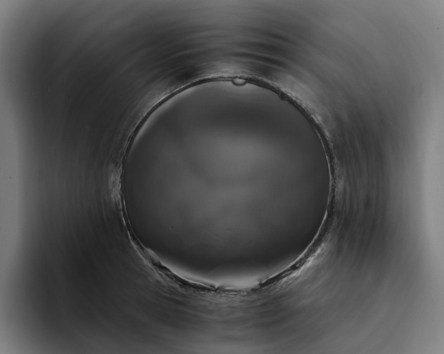 X0000094360945200711162047