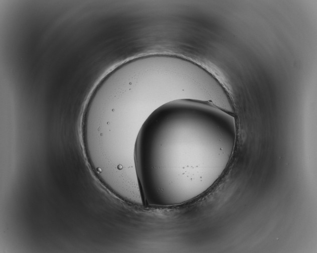 X0000094360950200711162048