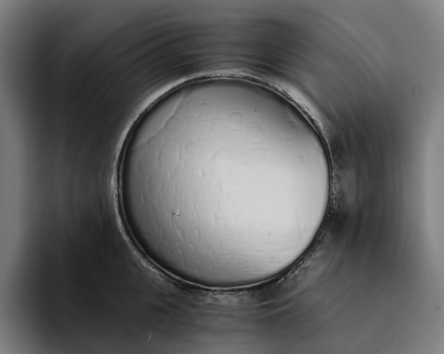 X0000094360951200711162048