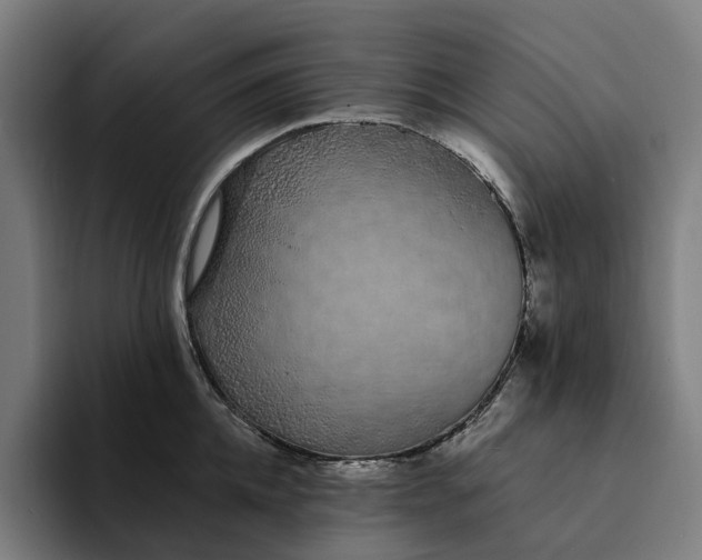 X0000094360952200711162048