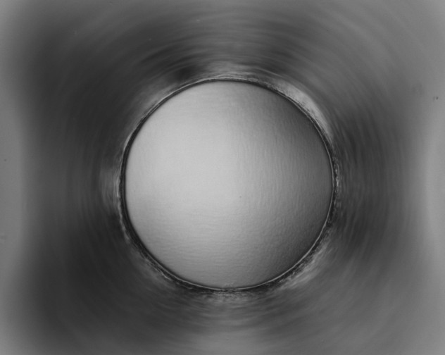 X0000094360954200711162048