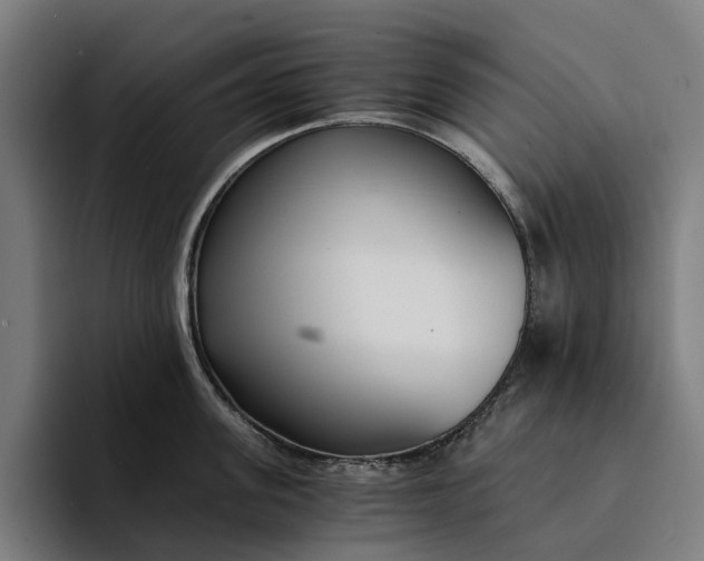 X0000094360955200711162048