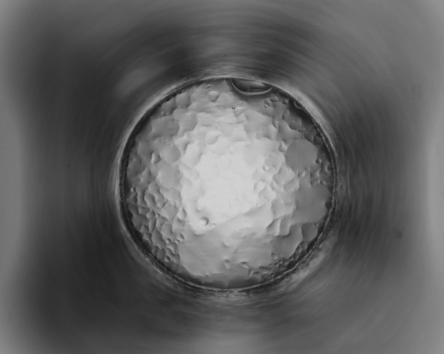 X0000094360957200711162048