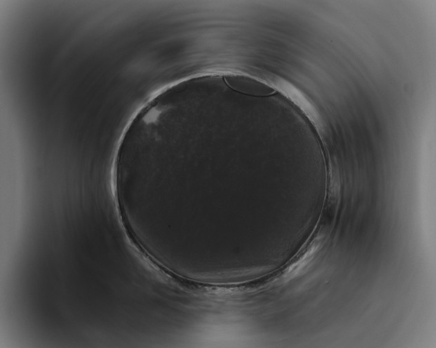 X0000094360958200711162048