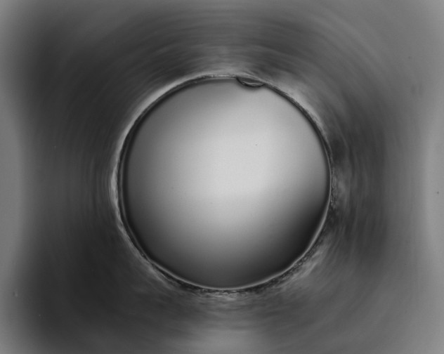 X0000094360959200711162048