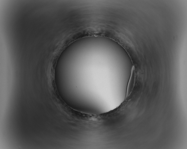 X0000094360961200711162047